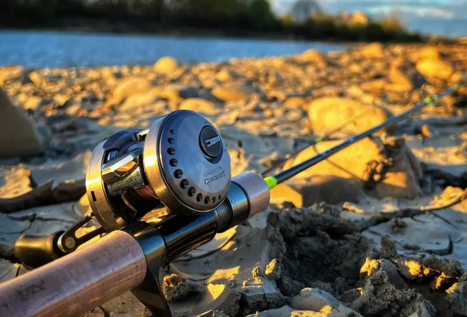 Shimano 23 Calcutta Conquest BFS: Impressions After a Full Season of Use